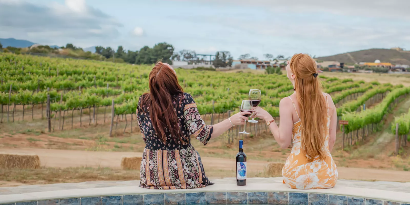 Perfect Weekend in Valle de Guadalupe Wine Country